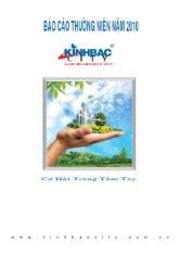 Báo cáo thường niên 2010